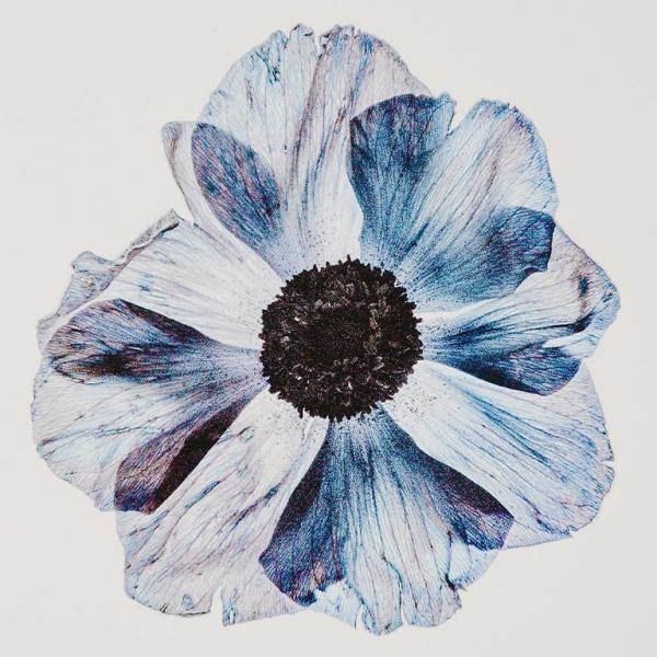  Новый брендинг