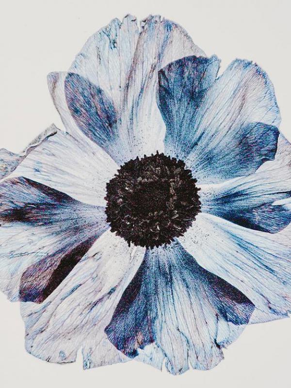  Новый брендинг